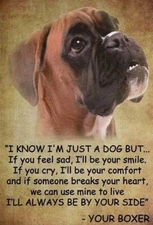 Funny Boxer dog fridgerator magnet 3 1/2 X 4 1/2 "