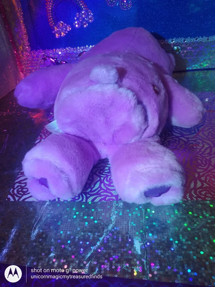 Vtg. 🦄Play Along /Sing Along Care Bears "Share Bear" '2004 10" Animated Plush!  - Image 4 of 4