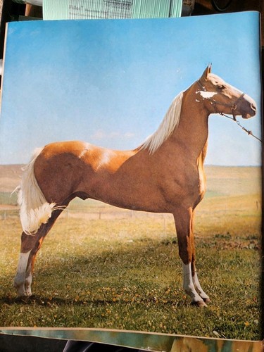 Revista Hoofs and Horns julio de 1970 justo a buen estado - Imagen 2 de 2
