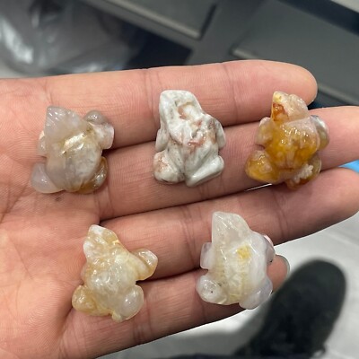 5pc Natural sakura agate quartz Crystal mini frog Carved Skull Reiki random