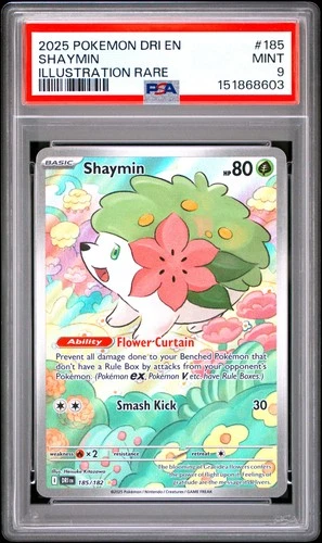 2025 POKEMON DRI EN-DESTINED RIVALS ILLUSTRATION RARE #185 SHAYMIN PSA 9