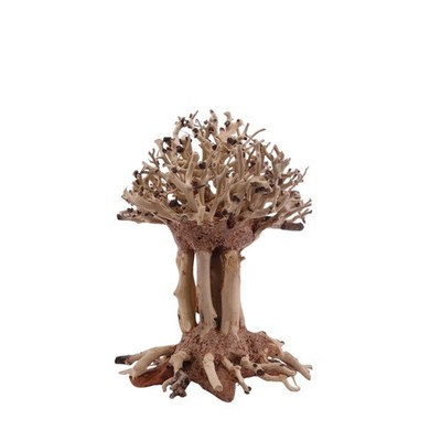 Bonsai Mammut Baum M Wurzel Holz Aquarium Deko Aquascaping Oriental Moos