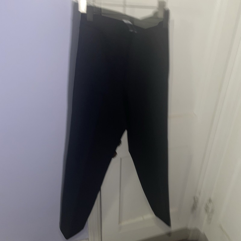 Loft Pull On Ponte Pants Size Large Tall