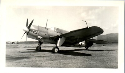 Curtiss SB2C Helldiver Bomber Plane Photo (3 x 5)