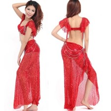 Belly Dance Costume Bellydance Bra Shiny Skirts Bollywood Dance Costumes