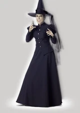 InCharacter Evil Wicked Witch Deluxe Adult Womens Halloween Costume CF1022