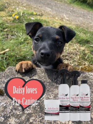 Pro-Equine Itch-Eze Spray for Dogs 100% Natural Aloe Vera & Tea Tree Spray  for | eBay