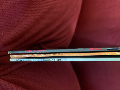 LOT - Rare Rock Vinyl - Ronin, Punch, Lost Gonzo Band SRM13832