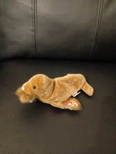 TY Beanie Baby - PAUL the Walrus 7 inch 