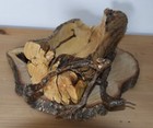 Bild 2 von 8