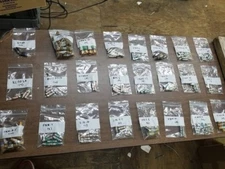 LOT OF 10 BUSSMAN FRN-R-1 FUSES   W19