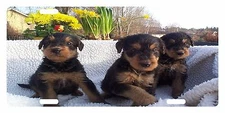 AIREDALE TERRIER DOG Custom License Plate CANINE BREED Emblem PUPPIES Version