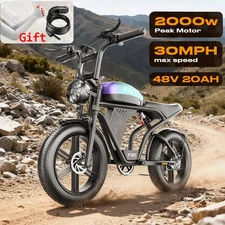 2000W Peak Electric Dirt Bike Mountain Motorcycle 48V 20AH Battery Powerfulmotor