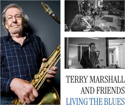Marshall,terry & Friends - Living The Blues - Vinyl Record