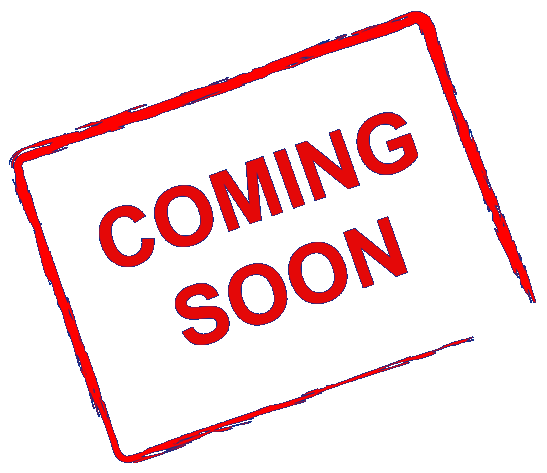 scarpe donna taglia 6 LOTTO