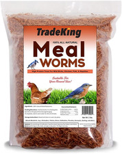 2 Lb Dried Mealworms - High Protein Treat for Wild Birds, Chicken, Fish Reptil