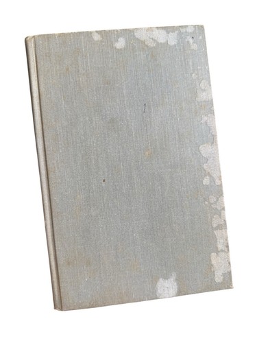 The Plums Hang High by Gertrude E. Finney 1955 Hardcover No Jacket - Picture 2 of 10