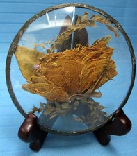 Real Rose Dried Natural Flower Sealed in Glass on Wood Stand
