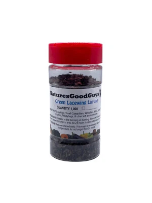 NATURESGOODGUYS Green Lacewings - 1000 Larvae - Aphid, Thrips, Spider Mites