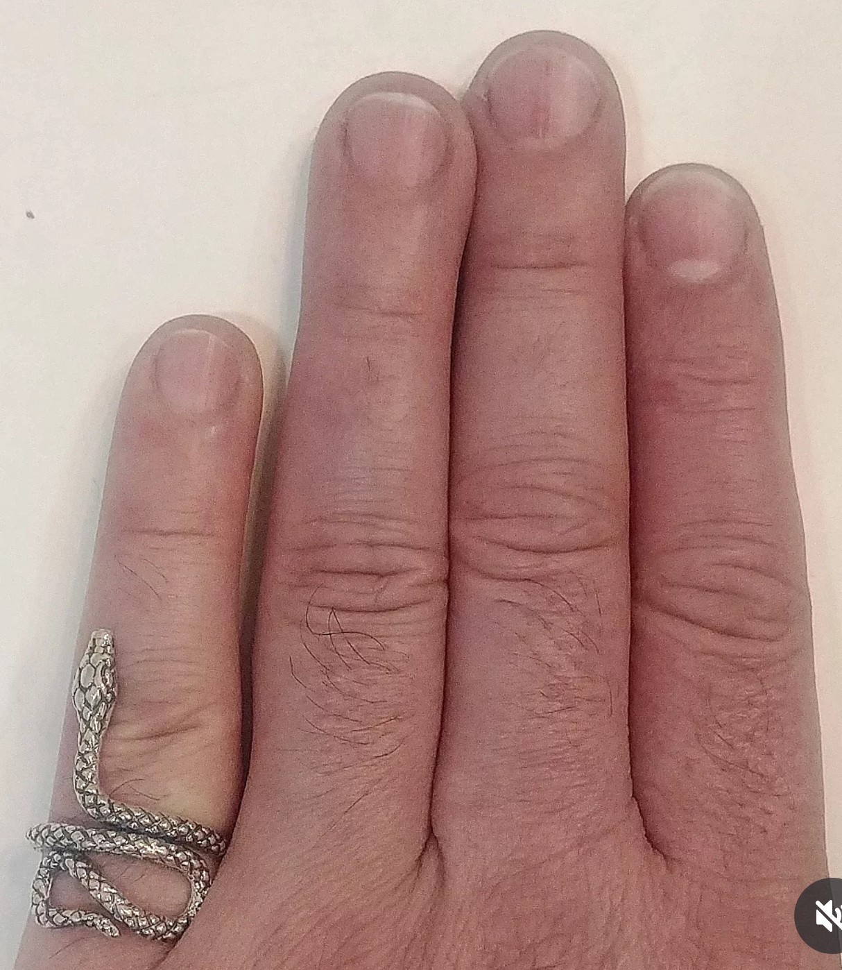 Sterling Silver Snake Ring Adjustable Size - image 2