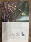 2 New York State Conservationist Nature & Wildlife Magazines  — photo 3