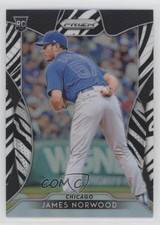 2019 Panini Prizm Tier III Zebra Prizm 97/99 James Norwood #245 1u6
