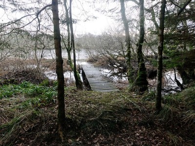 Foto 12x8 Promenade zur Angelstation, Fluss Conon Bischof Kinkell On thi c2018