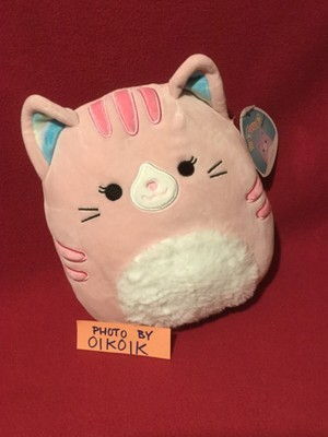 squishmallow plush cat
