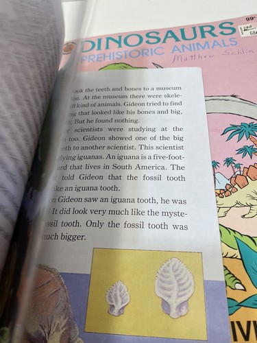 Vtg 80s Dinosaurs Color Activity Book Scholastic Book Lot - Foto 22 di 23