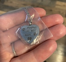 Forever In My Heart Pet Urn Necklace Silver