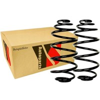 2X Ysparts Fahrwerksfeder Hinten FüR Punto 1.2 1.9D 09.99-03.12 Fiat
