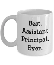 Best Assistant Principal Mug – Funny Tea Hot Cocoa Coffee Cup - Novelty...