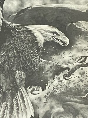 Original Bill O'Neill Signed Bald Eagle in Flight Framed Etching