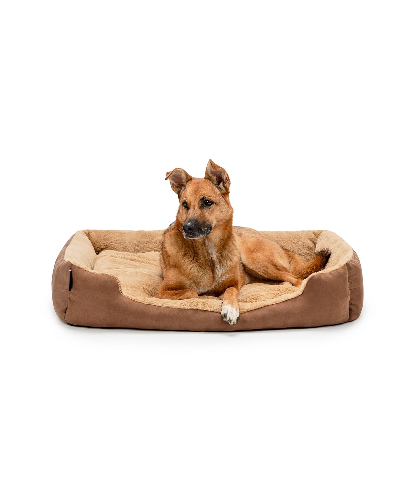 Cuccia lionto Robusta per Cani: Cuscino Reversibile e Antiscivolo