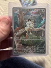 Meowth 106/094 Phantasmal Flames Illustration Rare