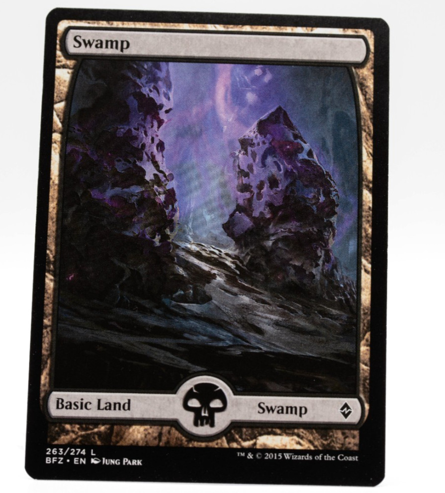Swamp Battle for Zendikar 263/274 Full Art MTG NM
