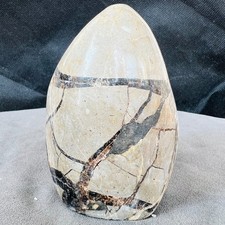 Drago Naturale Uovo Settario Geode Cristallo di Quarzo Agata Reiki Guarigione 330G