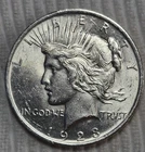 1923 P Peace Silver Dollar Estimated Uncirculated 63. Bright W/ Die Crack 0638.