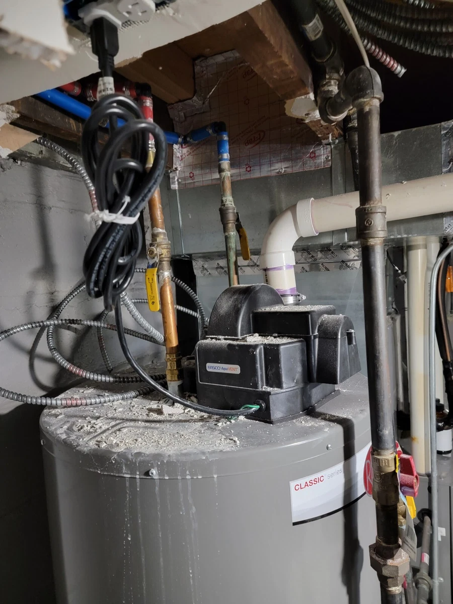 Rheem Performance 50 Gal. 36000 BTU Power Vent Natural Gas Water Heater |  eBay