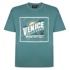 Espionage Men's Big Size Short Sleeve Printed Tee Shirts T350 2XL-8XL