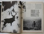 CORD SPORTFACTS 1982 HUNTING MAGAZINE — photo 3