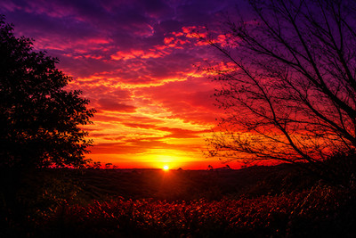 Digital Image Picture Photo Wallpaper Background Desktop AI Art Sample Product