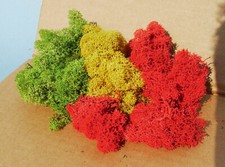 HEKI 3221 Confezione di licheni colori assortiti (contenuto gr. 75)