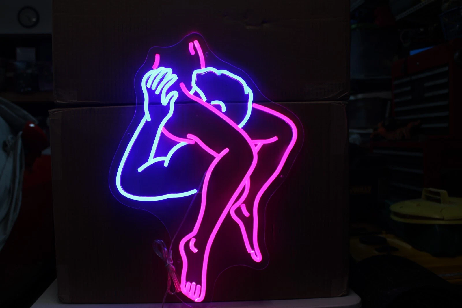 22" x 16" Blue/Red Hot/Sexy Female & Male Led Light. Getting a a face full