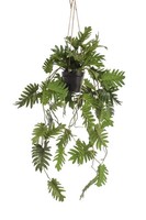 Kunstpflanze - Philodendron - 80 Cm KüNstliche Pflanze
