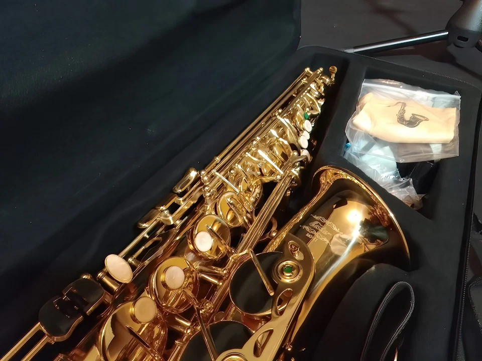 SASSOFONO CONTRALTO SET + accessori  per principianti - near mint - sax  - Immagine 3 di 4