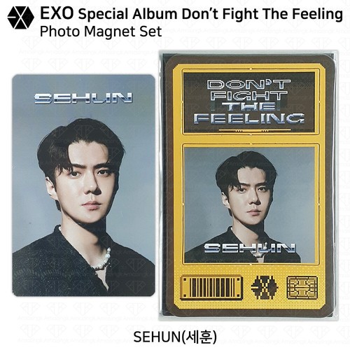EXO Spezialalbum Don't Fight The Feeling Hologramm Fotokarte Ständer Magnet Set - Bild 29 von 30