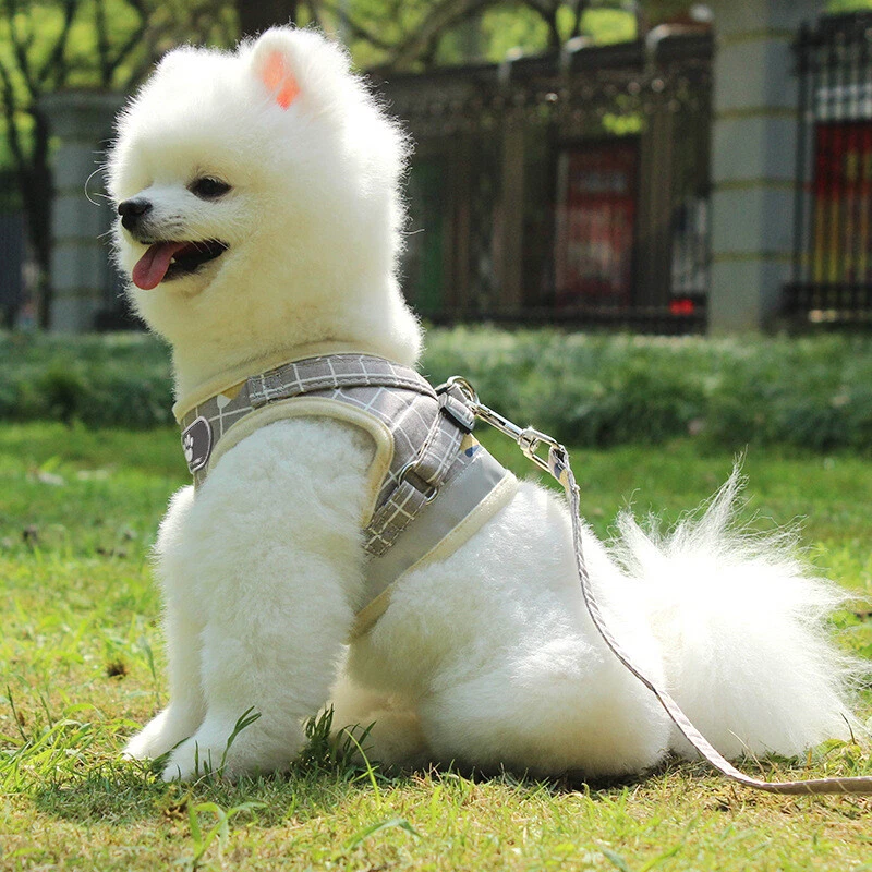 Dog Harness and Leash Set Reflective Mesh Adjustable Harnesses for Puppy Kitten Dog Harness and Leash Set Reflective Mesh Adjustable Harnesses for Puppy Kitten