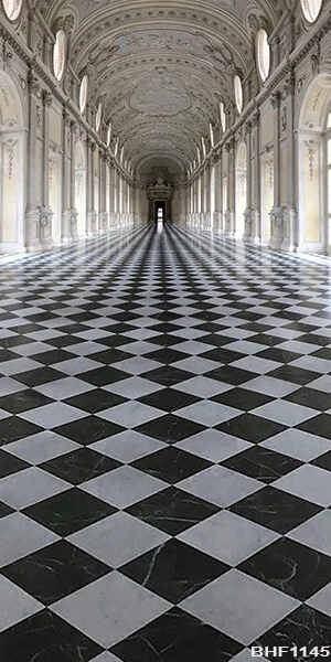 Fondo de tela de microfibra para pasillo del Gran Palacio Huayi BHF1145 Foto 4 de 4