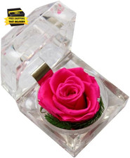 Preserved Flowers Box with Never Withered Rose for Valentine Anniversary Birthda